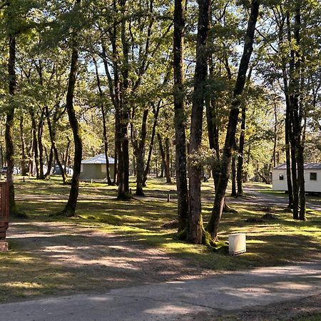 Camping Les Petites Minaudieres Coussay-les-Bois Bagian luar foto